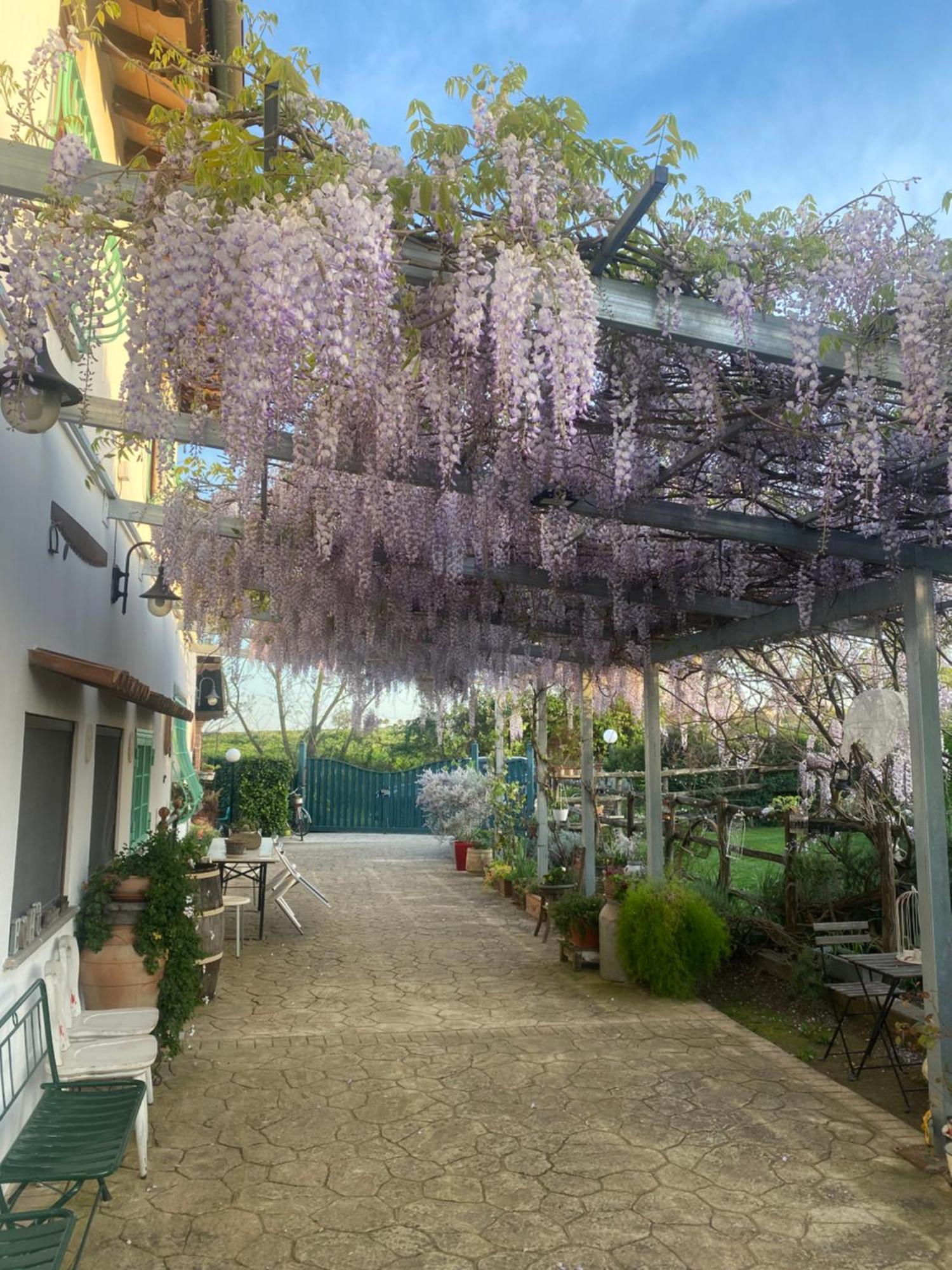 La Del Tevere Landhaus